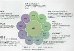 サイトカイン